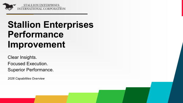 Stallion Enterprises Performance Improvement — firm overview cover