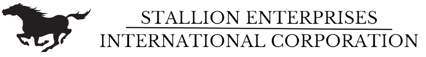 Stallion Enterprises International Corporation